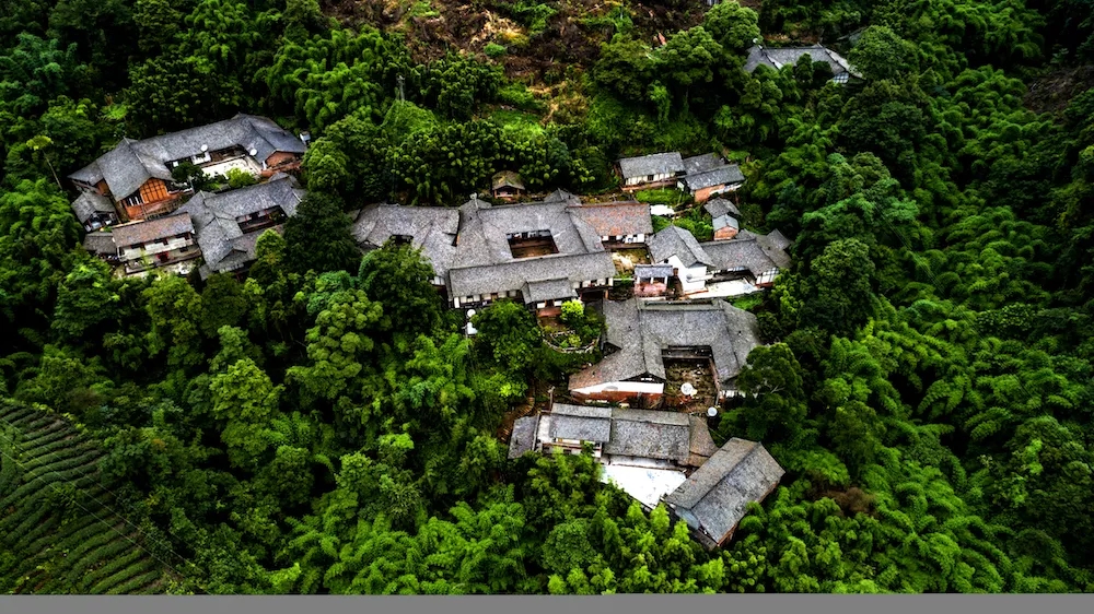 bte·365(中国)体育在线官网