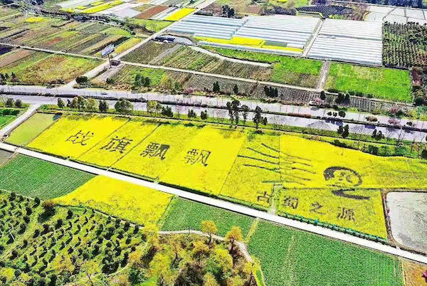 bte·365(中国)体育在线官网