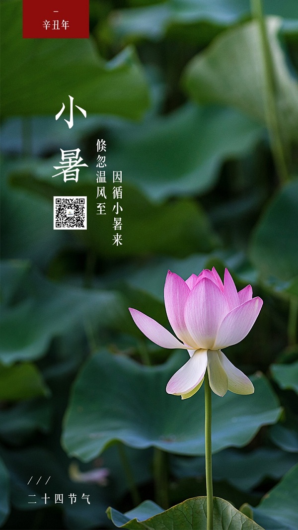 bte·365(中国)体育在线官网