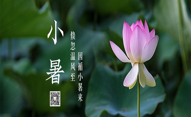 集团动态 - bte365