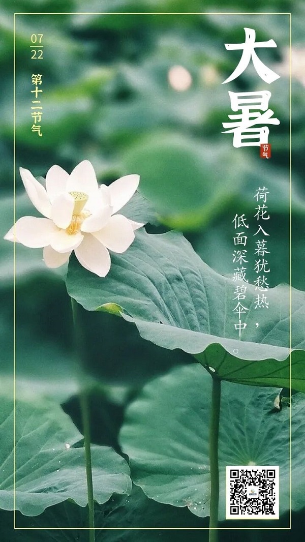 bte·365(中国)体育在线官网