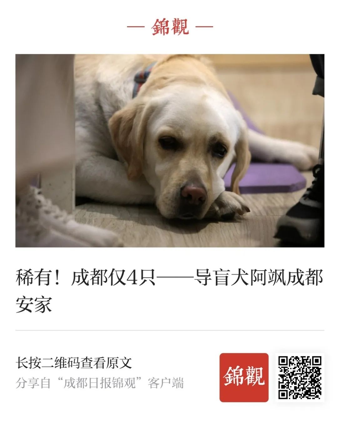bte·365(中国)体育在线官网