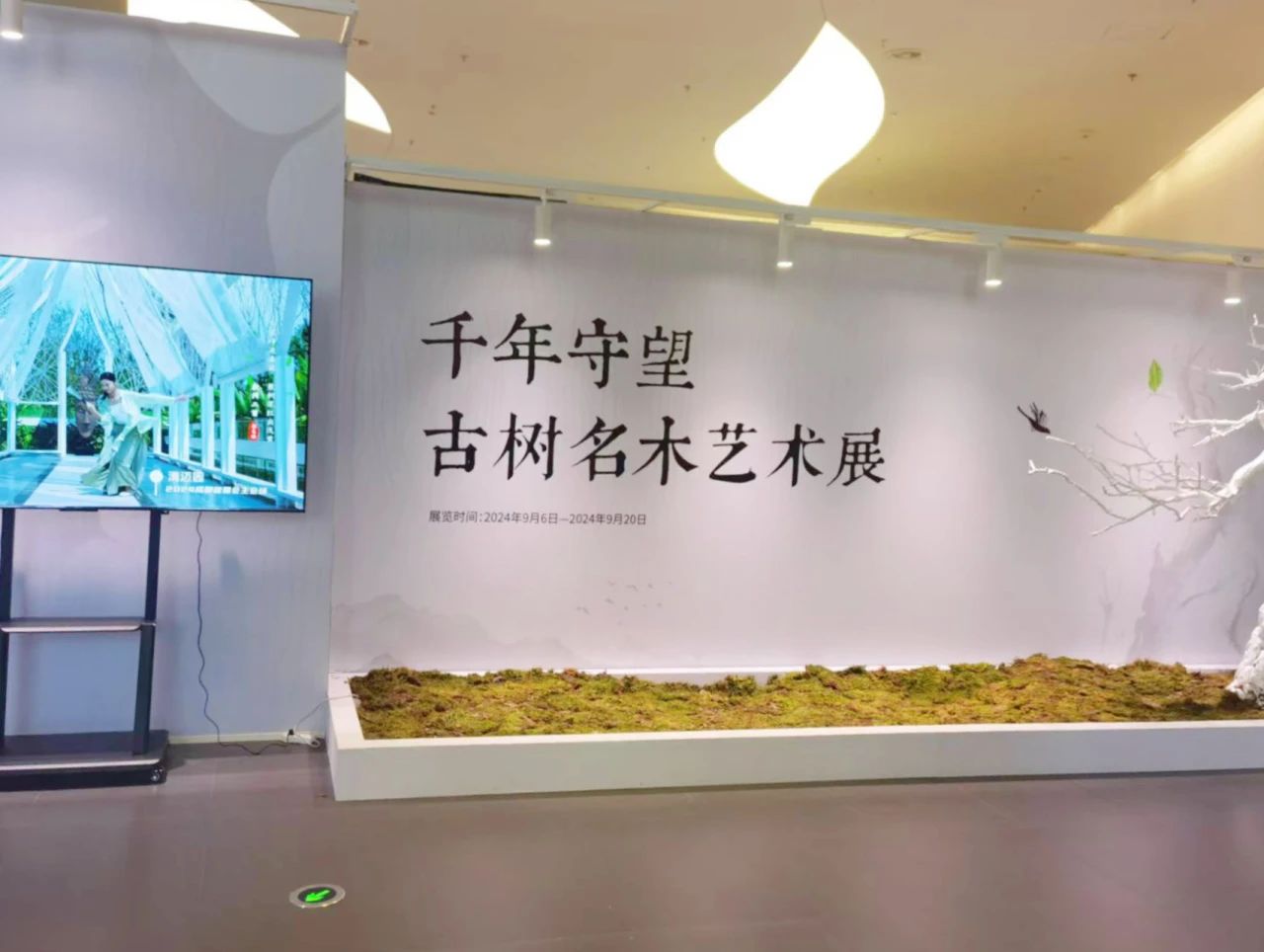 集团动态 - bte365