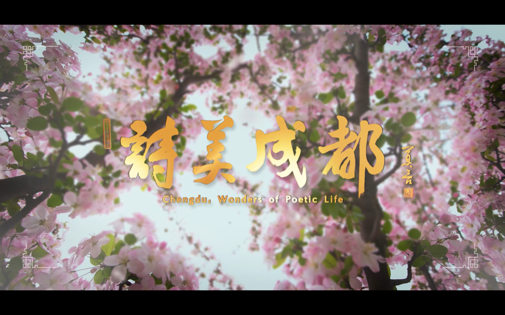 集团动态 - bte365